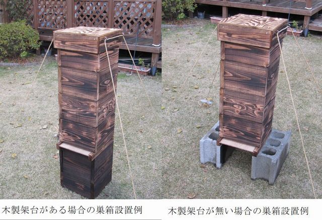 (Bセット）日本蜜蜂（みつばち）　重箱式巣箱　観察窓付き巣箱セット（４段構成）／蜜蝋付き／
