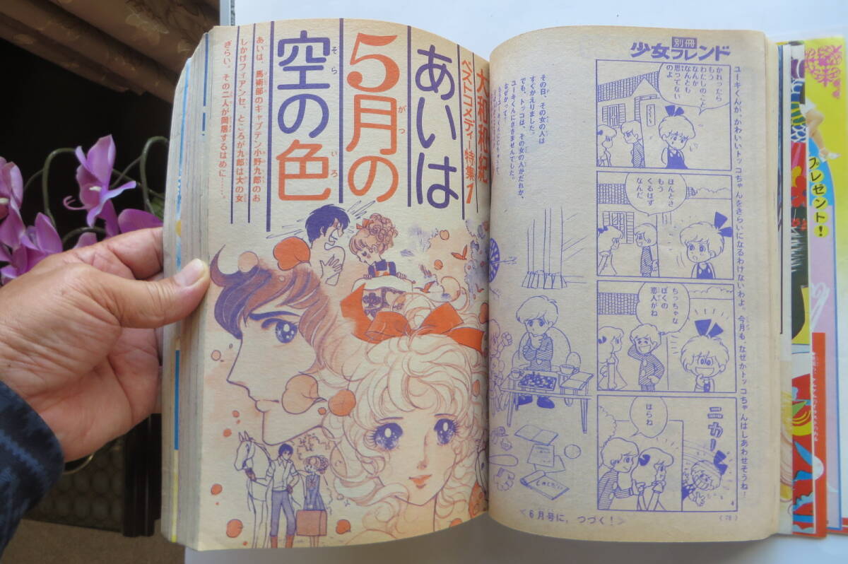 2255 別冊少女フレンド 1973年(昭和48年)5月号●西城秀樹/天地真理/桜田淳子/波間信子/大和和紀/杉本啓子/辻村弘子/山本一美 傷み有りの画像7