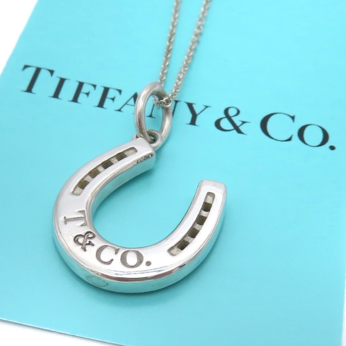 【送料無料】 極希少 Tiffany&Co. ティファニー ホースシュー シルバー ネックレス SV925 馬蹄 T&CO ロゴ HE47