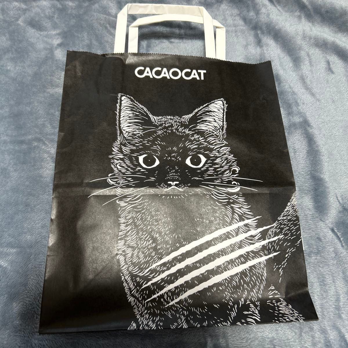 DADACA CACAO CAT チョコレート14個入り