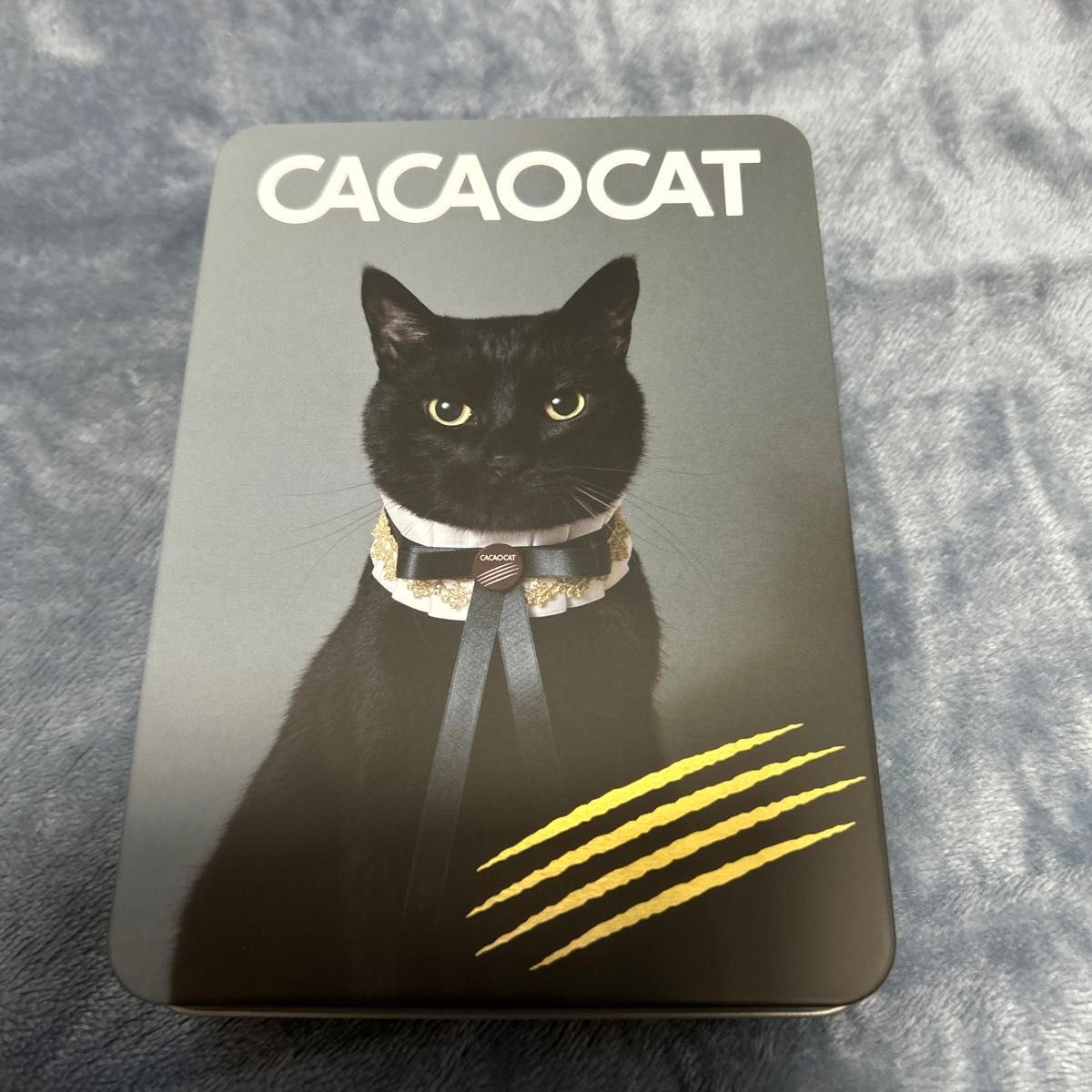 DADACA CACAO CAT チョコレート14個入り