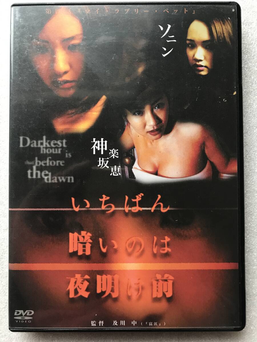 【中古 DVD 】いちばん暗いのは夜明け前 第四話 マイラブリーペット神楽坂恵 ソニン 及川中 セル版 他多数出品中_画像1