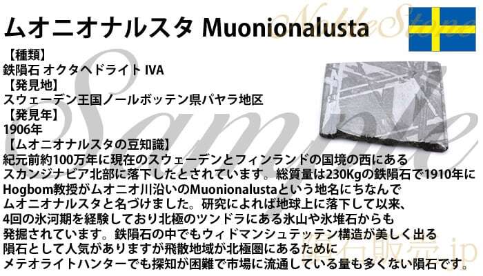 ムオニナルスタ ムオニオナルスタ 8.8g スライス カット 標本 隕石 オクタヘドライト No.75