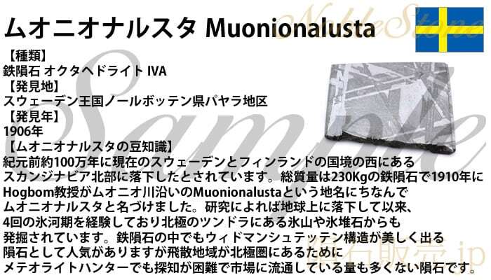 ムオニナルスタ ムオニオナルスタ 24g スライス カット 標本 隕石 オクタヘドライト No.178_画像5