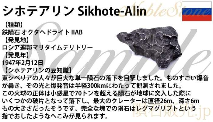 シホテアリン シホテアリニ 89g 原石 標本 隕石 オクタヘドライト SikhoteAlin No.12