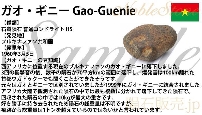 ガオギニー 9.1g 原石 標本 隕石 普通コンドライト H5 GaoGuenie No.8の画像5