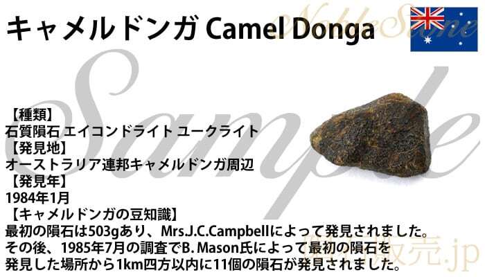 キャメルドンガ 1.6g 原石 標本 隕石 エイコンドライト ユークライト CamelDonga No.2_画像5