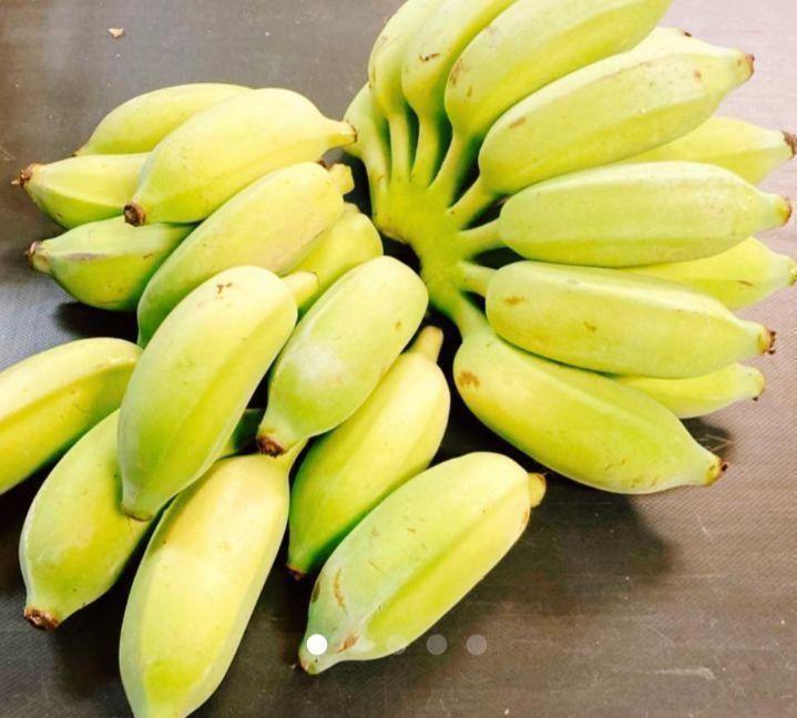 沖縄最高峰！やんばる産　バナナの王様！キングオブ「ナムワバナナ」_画像1