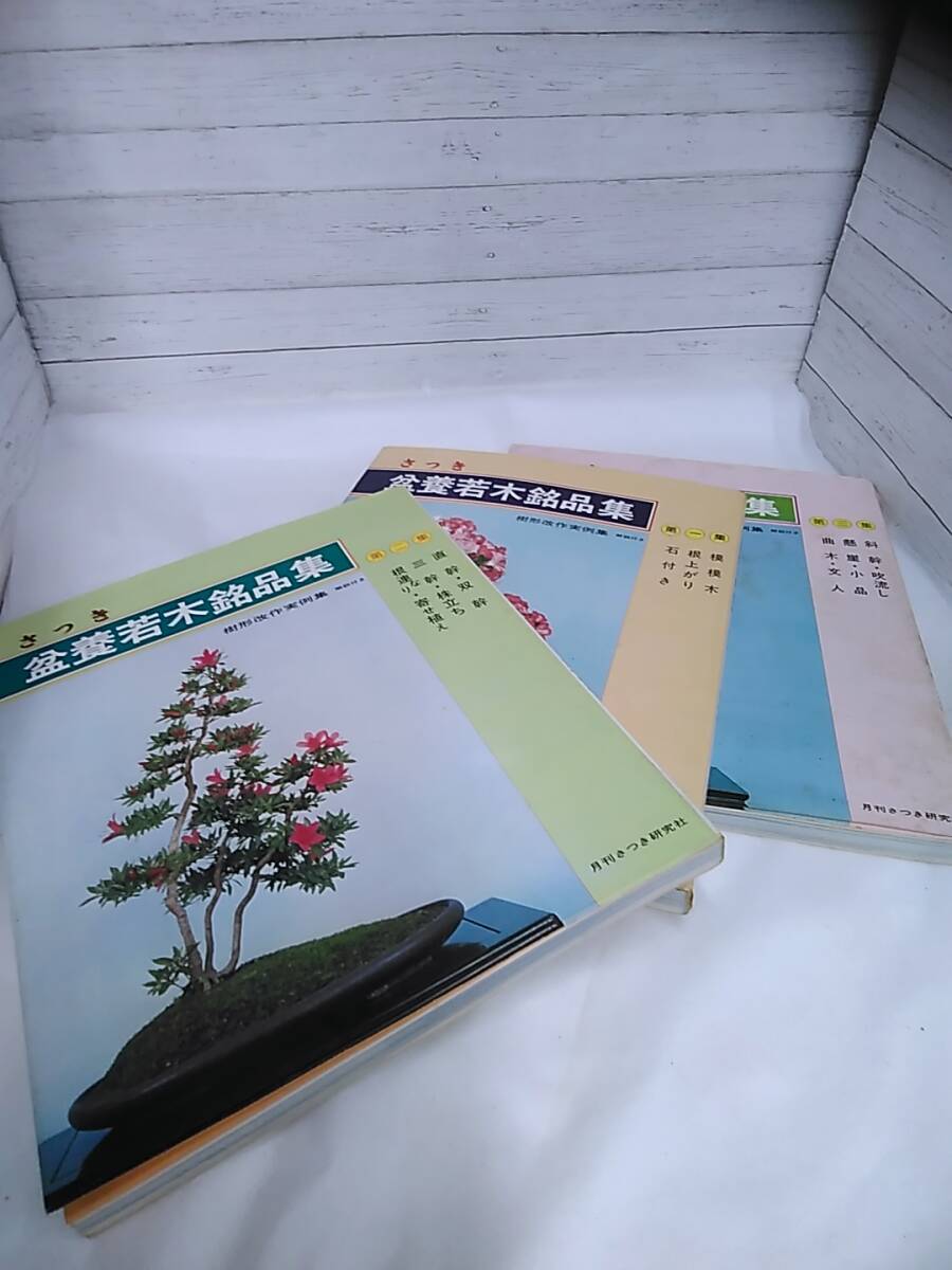 【04】【箱入り・3冊組 さつき 盆養若木銘品集 月刊さつき研究社 1979年】長期保管品の画像3