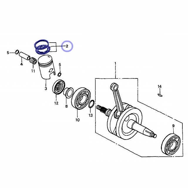 ホンダ純正 NS-1 ピストンリング(スタンダード)セット 新品 送料込み NSR50、NSR-mini 共通_画像3