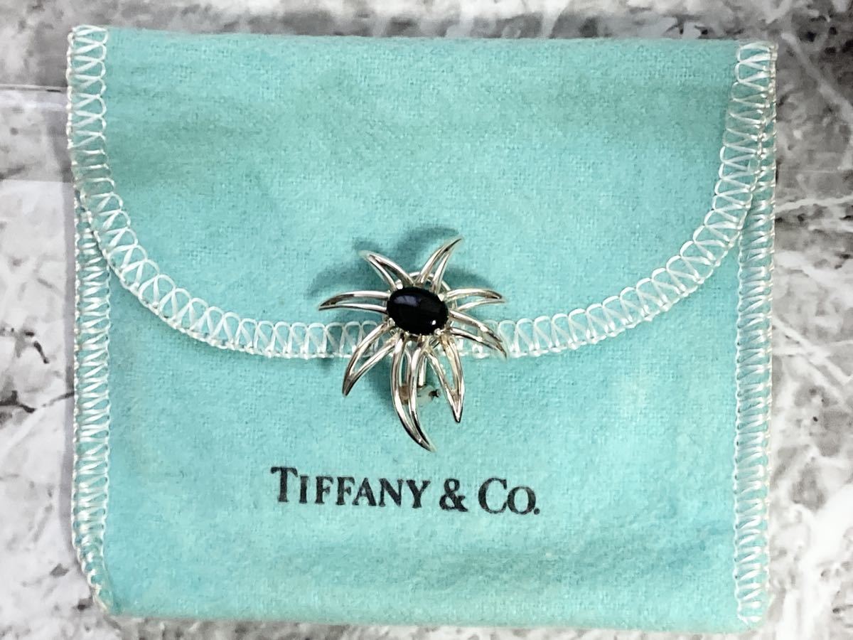 Tiffany&Co Tiffany fire - Works onyx earrings one-side ear Vintage 1995 year SV925