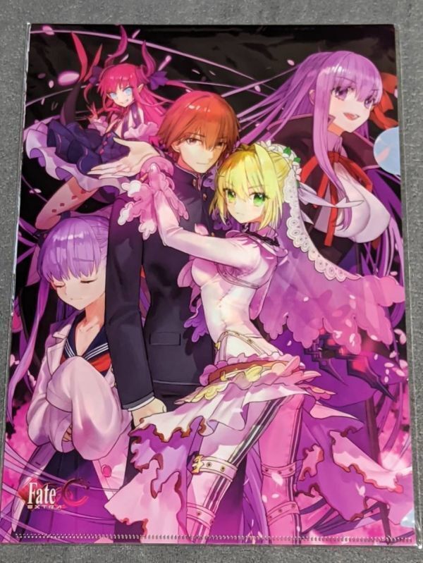 ra39 ★クリアファイル★ FGO Fate/EXTRA CCC VOID LOG：BLOOM ECHO IV TYPE-MOON　コミケ C96 会場限定購入特典 2枚セット_画像2