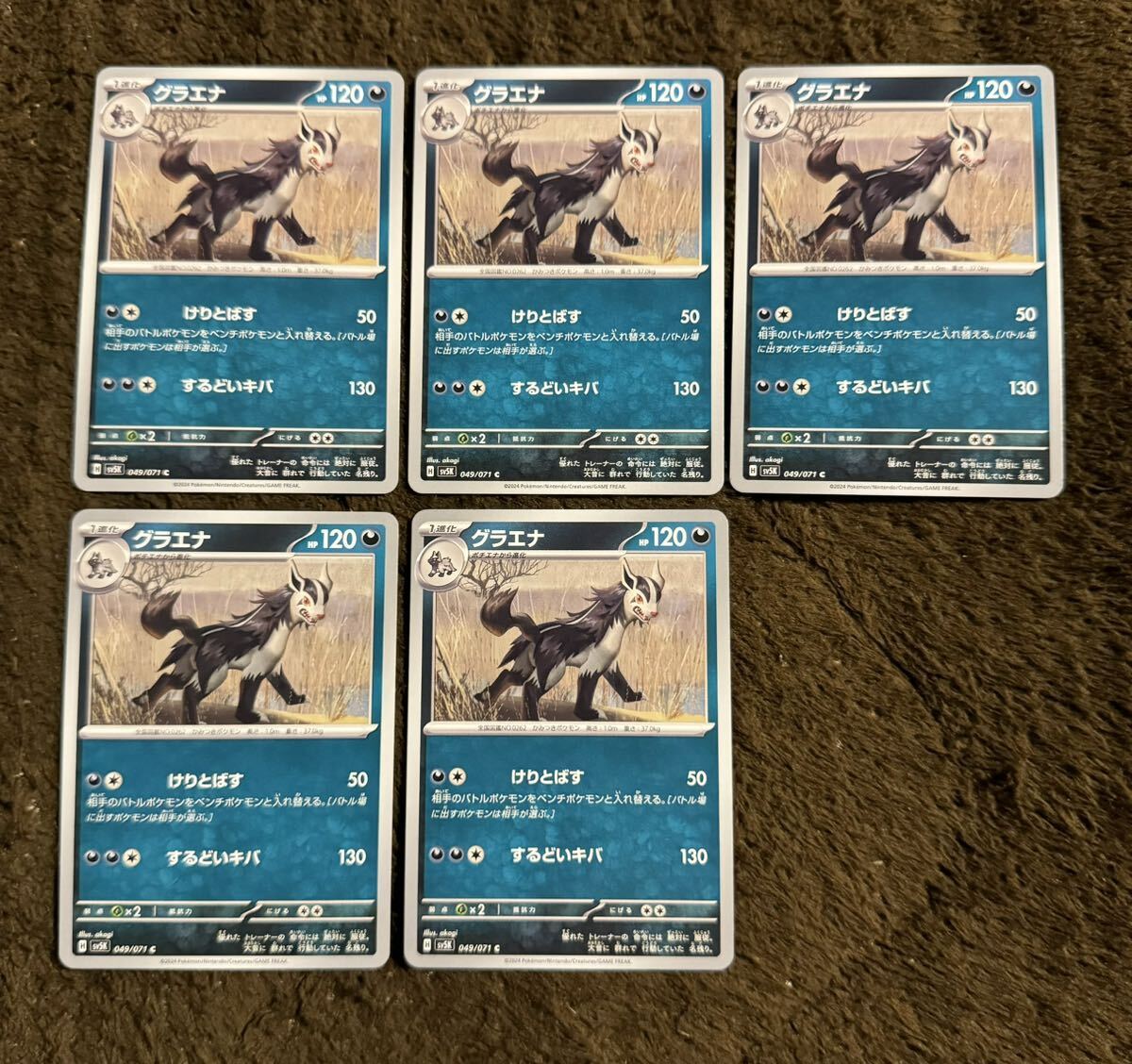 【美品】ポケモンカード グラエナ C（sv5K 049/071）1進化 けりとばす するどいキバ ワイルドフォース 1枚（在庫５枚）_画像3