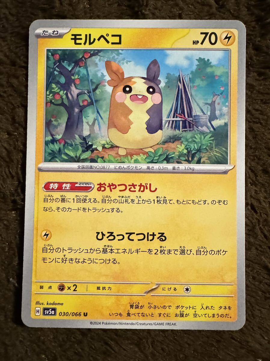 【美品】ポケモンカード モルペコ U（sv5a 030/066）たね おやつさがし ひろってつける クリムゾンヘイズ 1枚（在庫１２枚）の画像1