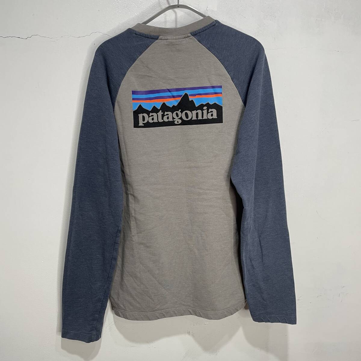 送料無料☆patagonia☆パタゴニア☆P-6☆ライトウェイトスウェット☆バックプリント☆グレー☆M☆C24Mの画像9