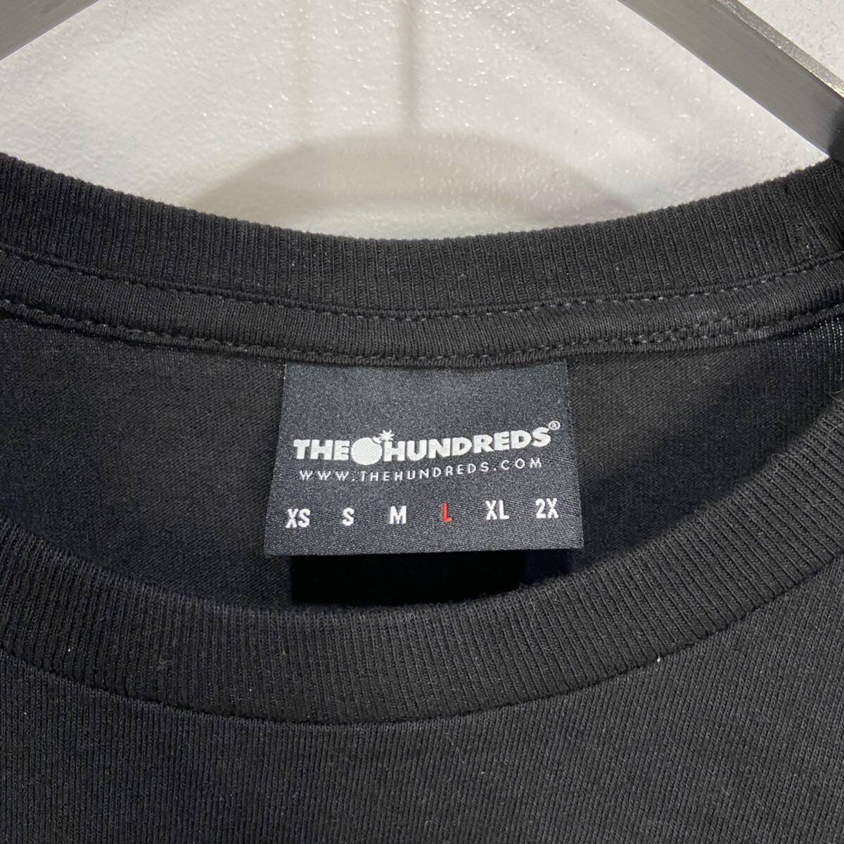 送料無料☆THEHUNDREDS☆ハンドレッツ☆両面プリントロンT☆バックプリント☆黒☆L_画像5