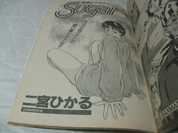 【　ヤングANIMAL（アニマル）　1995年 No.5　読切・阿部智「SAX MAN」 二宮ひかる「Ｓｕｇａｒ」 美樹次「こんどーさんのパンツ」掲載　】_画像8