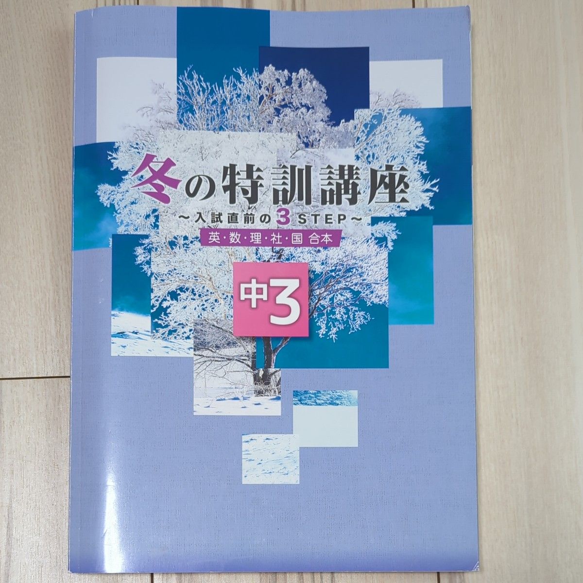 高校入試　中３　冬の特訓講座　解答と解説付き　塾の教材にも