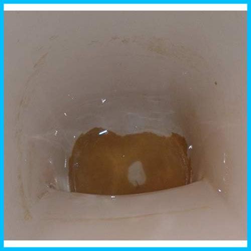 尿石除去剤 業務用 デオライト-L 1kgの画像4