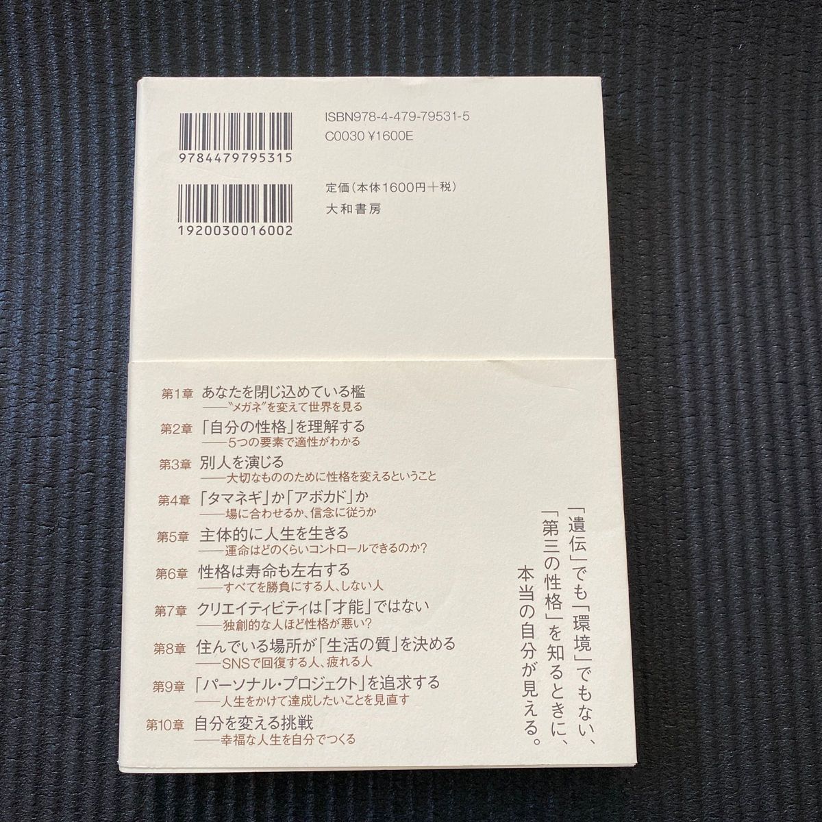 自分の価値を最大にするハーバードの心理学講義 （自分の価値を最大にする） ブライアン・Ｒ・リトル／著　児島修／訳