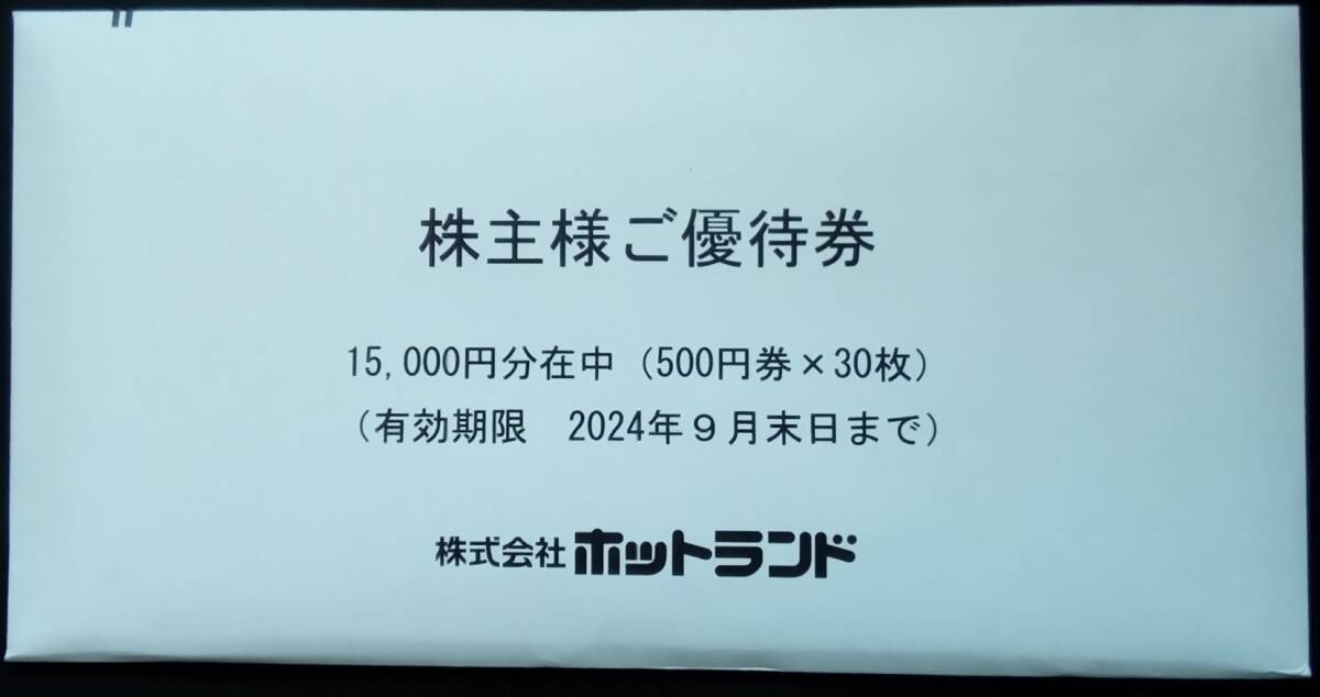 【最新】ホットランド 銀だこ 株主優待券 15,000円分 2024年9月30日まで_画像1