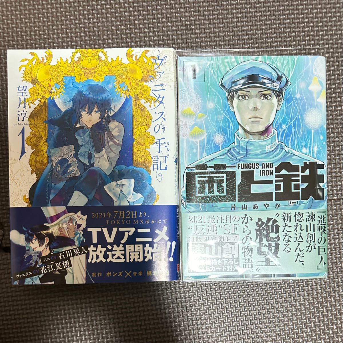 ヴァニタスの手記1巻 菌と鉄1巻 2冊セット