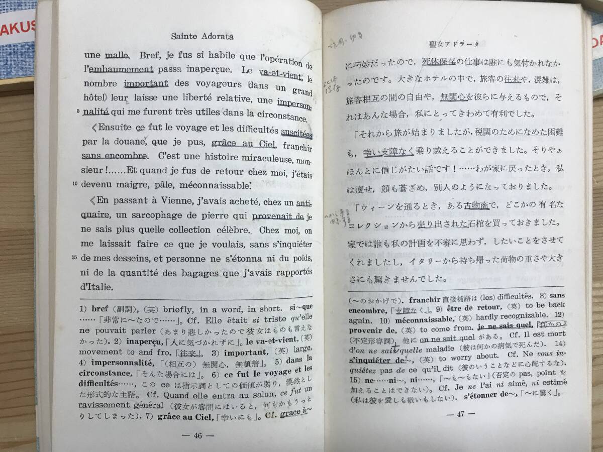 x48●大学書林語学文庫 11冊 フランス語/スタンンダール/モーパッサン/アボリネール/仏文和訳/サロメ/ドーデー/語源/詩・小説 240314_画像6