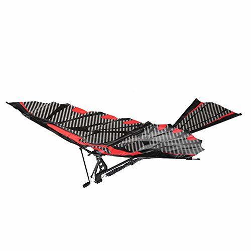 [ high class rubber power feather ... airplane ] carbon fibre wing ´ wing god Ⅱ*( wing length :465mm) child from adult till is possible to enjoy!*** remainder 11