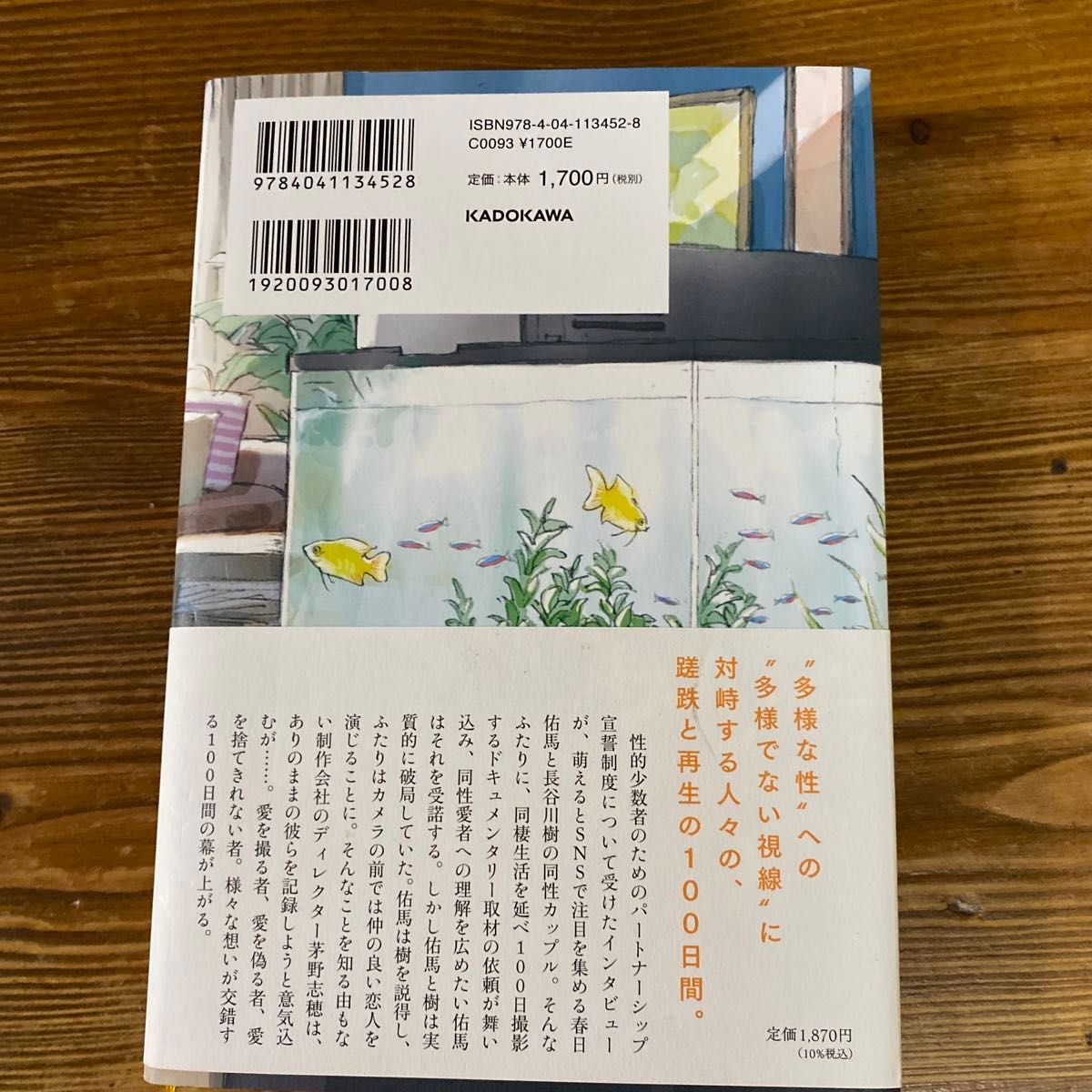 浅原ナオトさんの100日後に別れる僕と彼です。　いわゆるBＬではなく男性目線の同棲愛小説です。