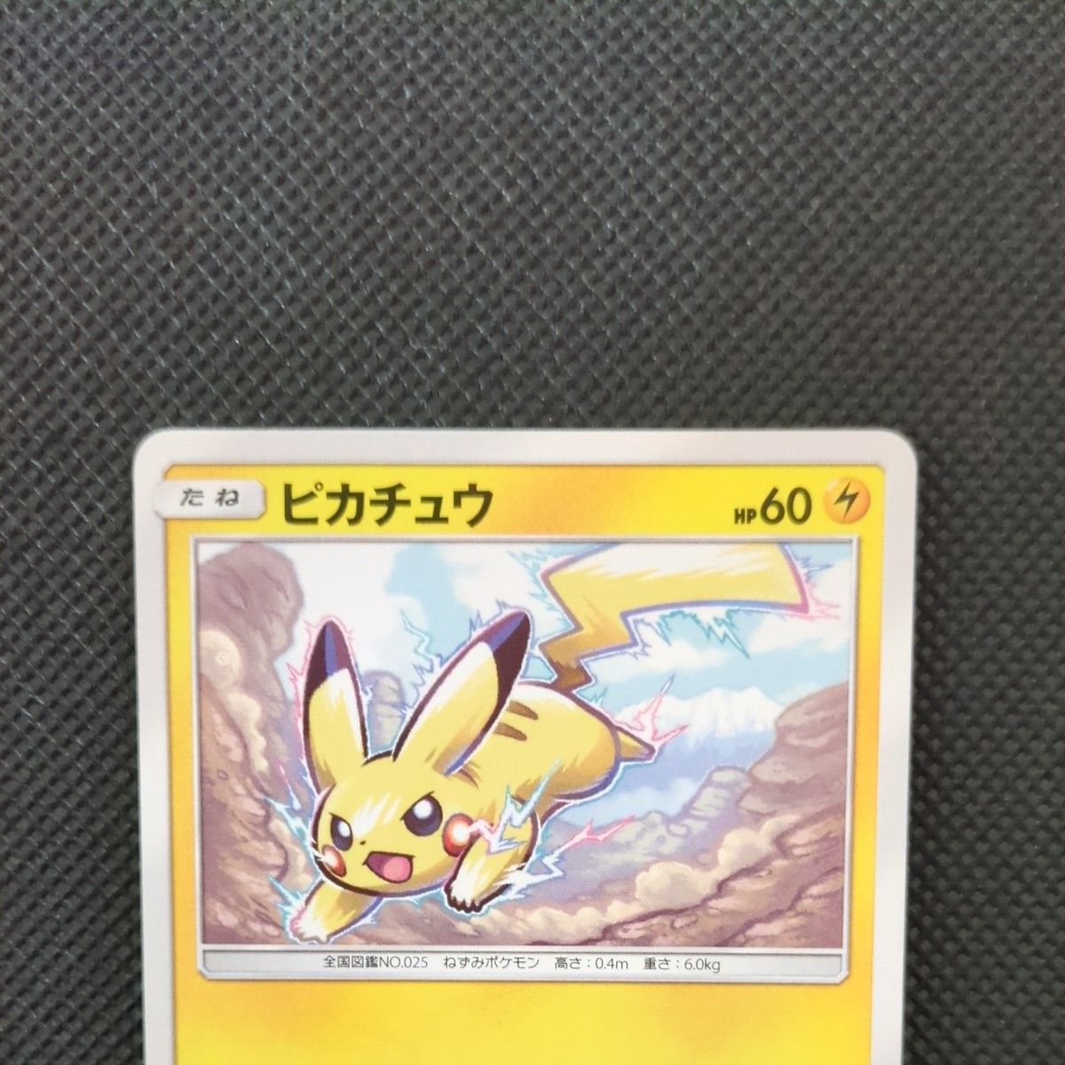 ピカチュウ プロモ 168/SM-P ポケモンカードゲーム 2017