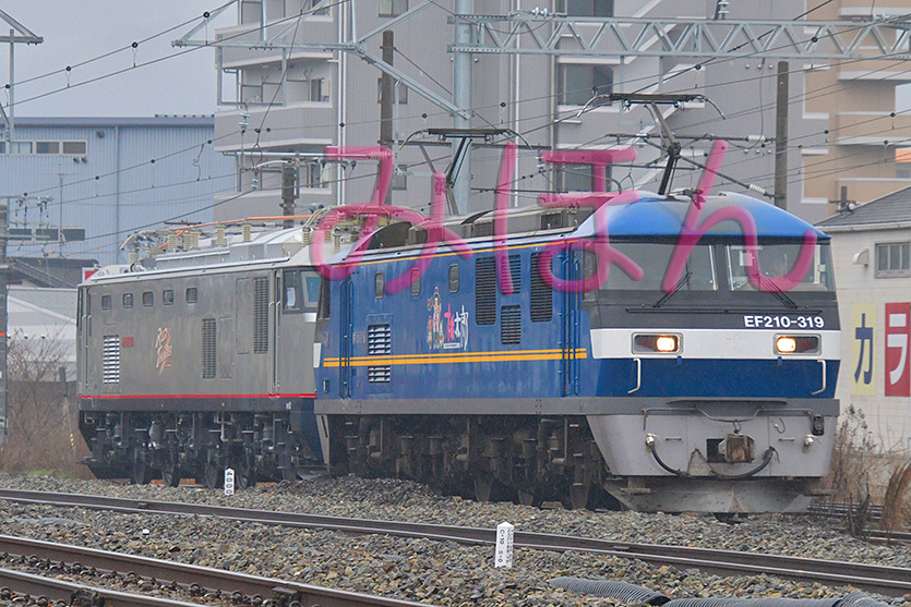 EF210-319 + EF510-308 _DSC4554.jpg_画像1