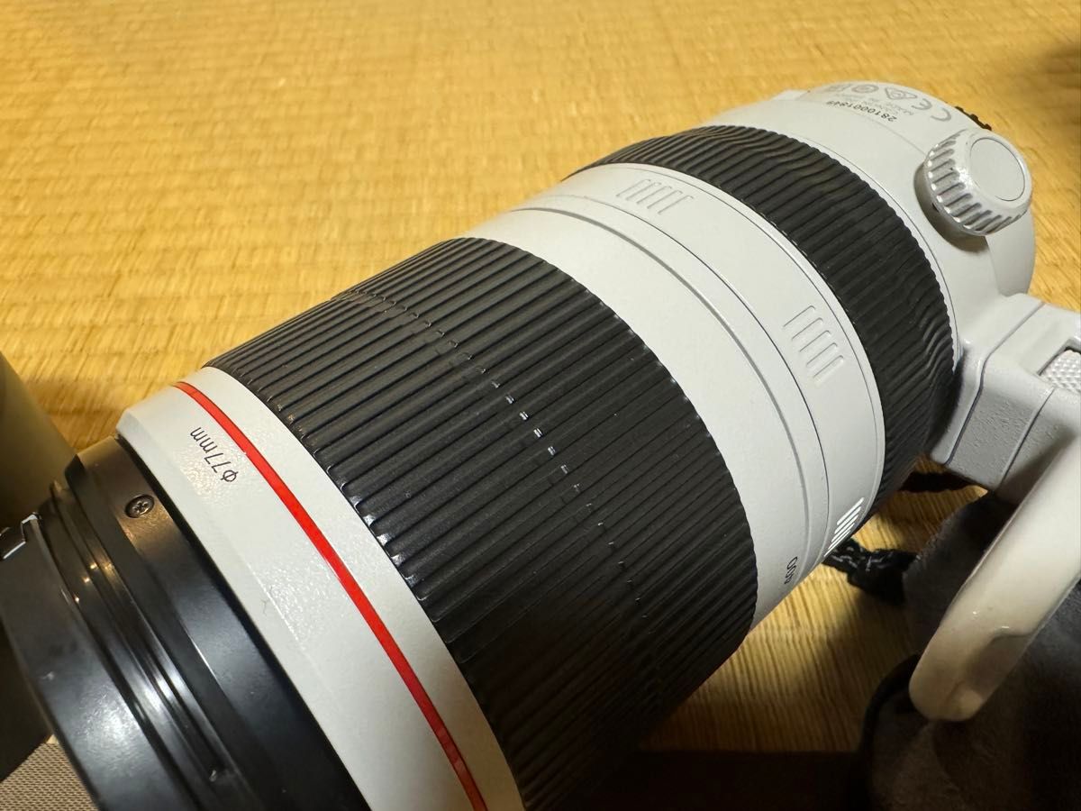 EF100-400mm F4.5-5.6L IS II USM +エクステンダー1.4Ⅲ