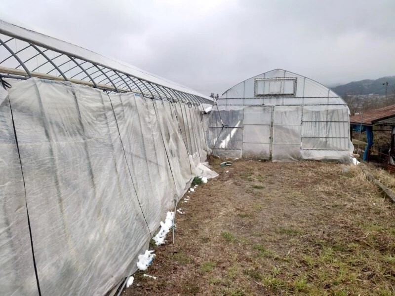  Nagano prefecture . rice field city departure plastic greenhouse 4.5m×40m.50m 2 ream .