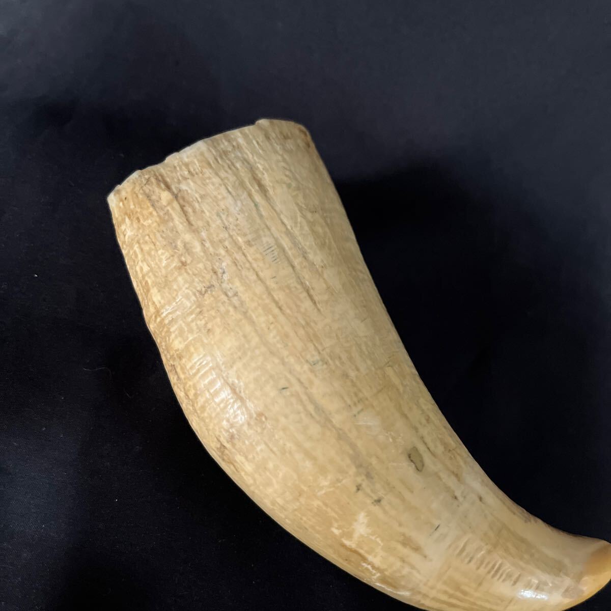 鯨　クジラ　置物 牙 飾り物 古美術　クジラ歯　時代物　根付 彫刻 標本 歯 工芸品 　★17_画像4