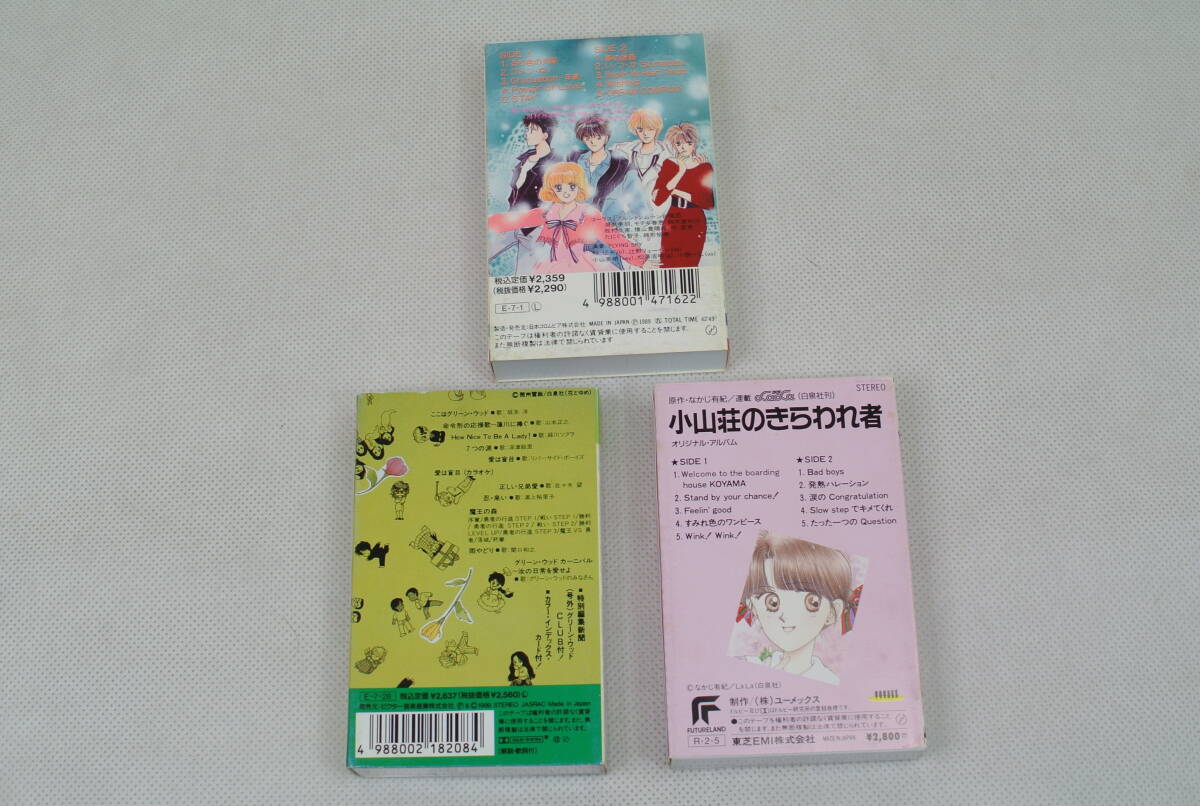 るり色プリンセス ここはグリーン・ウッド 小山荘のきらわれ者 少女まんが 当時物 カセットテープ ファンタスティック ワールド レア_画像6