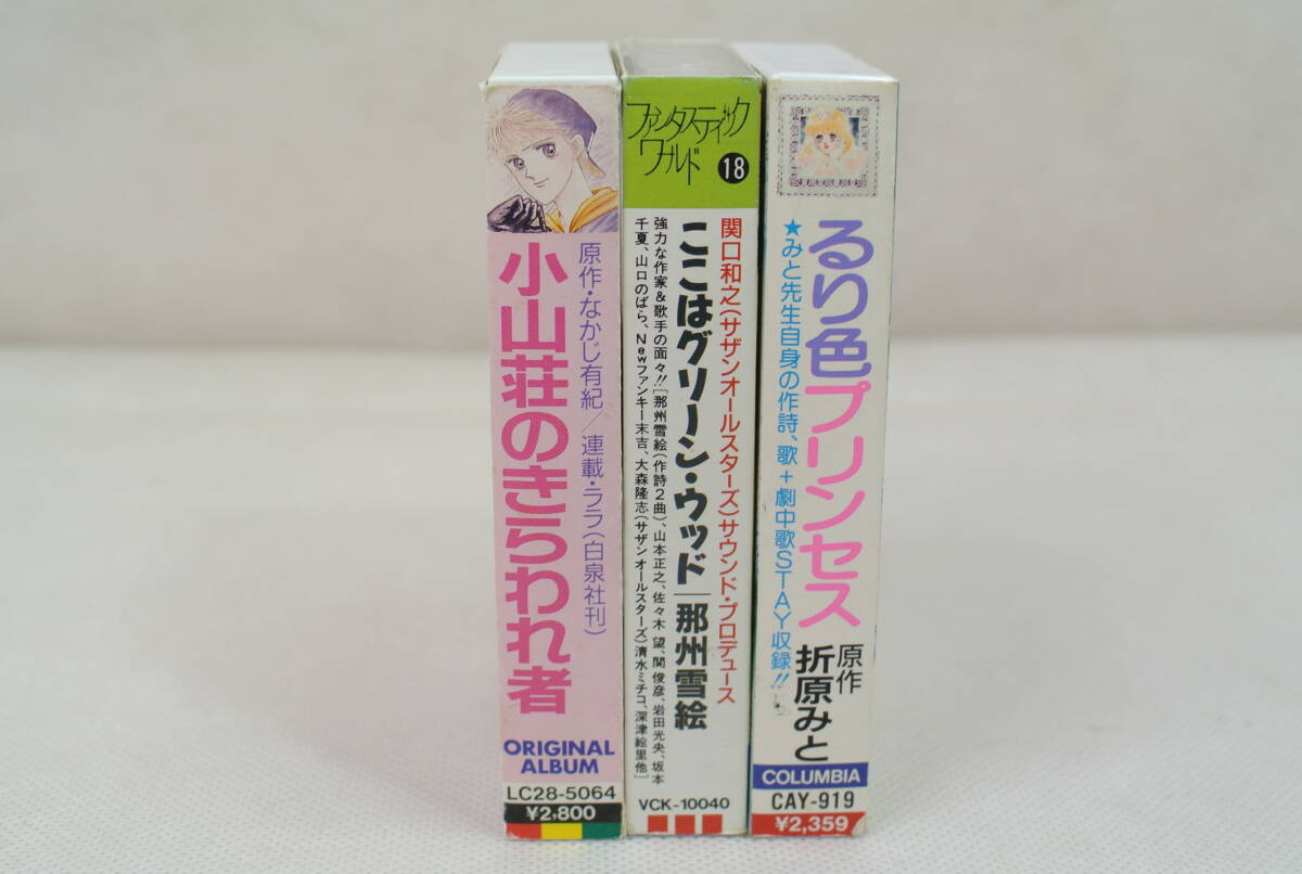 るり色プリンセス ここはグリーン・ウッド 小山荘のきらわれ者 少女まんが 当時物 カセットテープ ファンタスティック ワールド レア_画像10