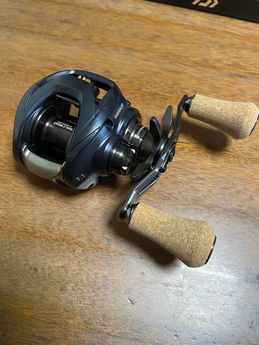 DAIWA スティーズ AII TW1000H SLP WORKSパワーラウンド DAIWA スティーズ AII TW1000H SLP WORKSパワーラウンド