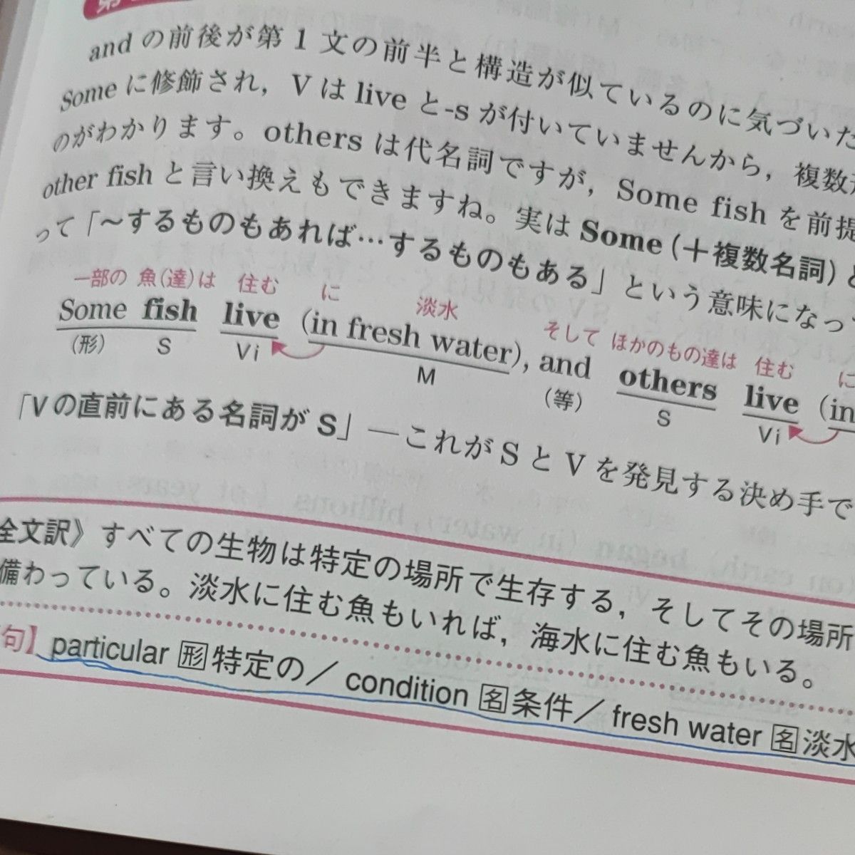 入門英文解釈の技術７０ （大学受験スーパーゼミ　徹底攻略－きっちりわかる－） 桑原信淑／著