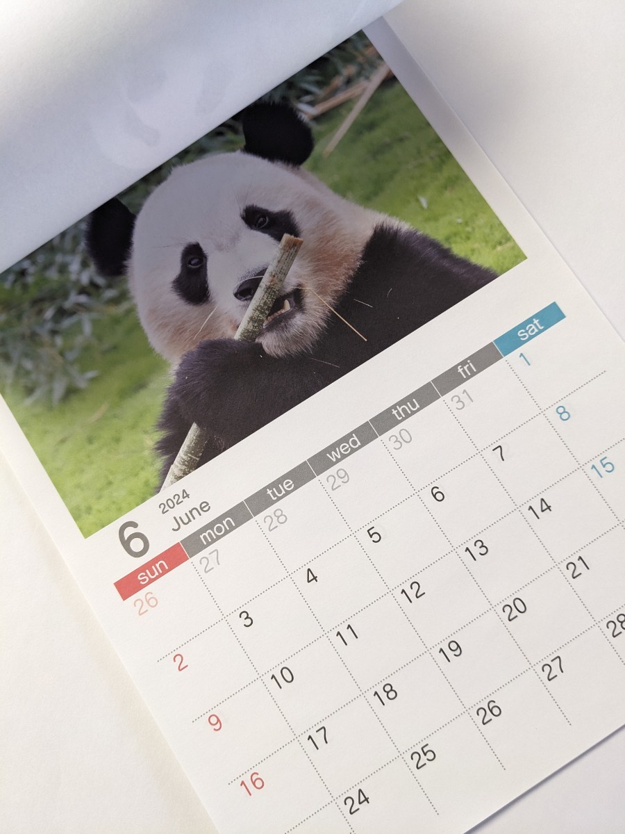 2024年カレンダー 上野動物園 王子動物園 シャオシャオ レイレイ タンタンの画像8