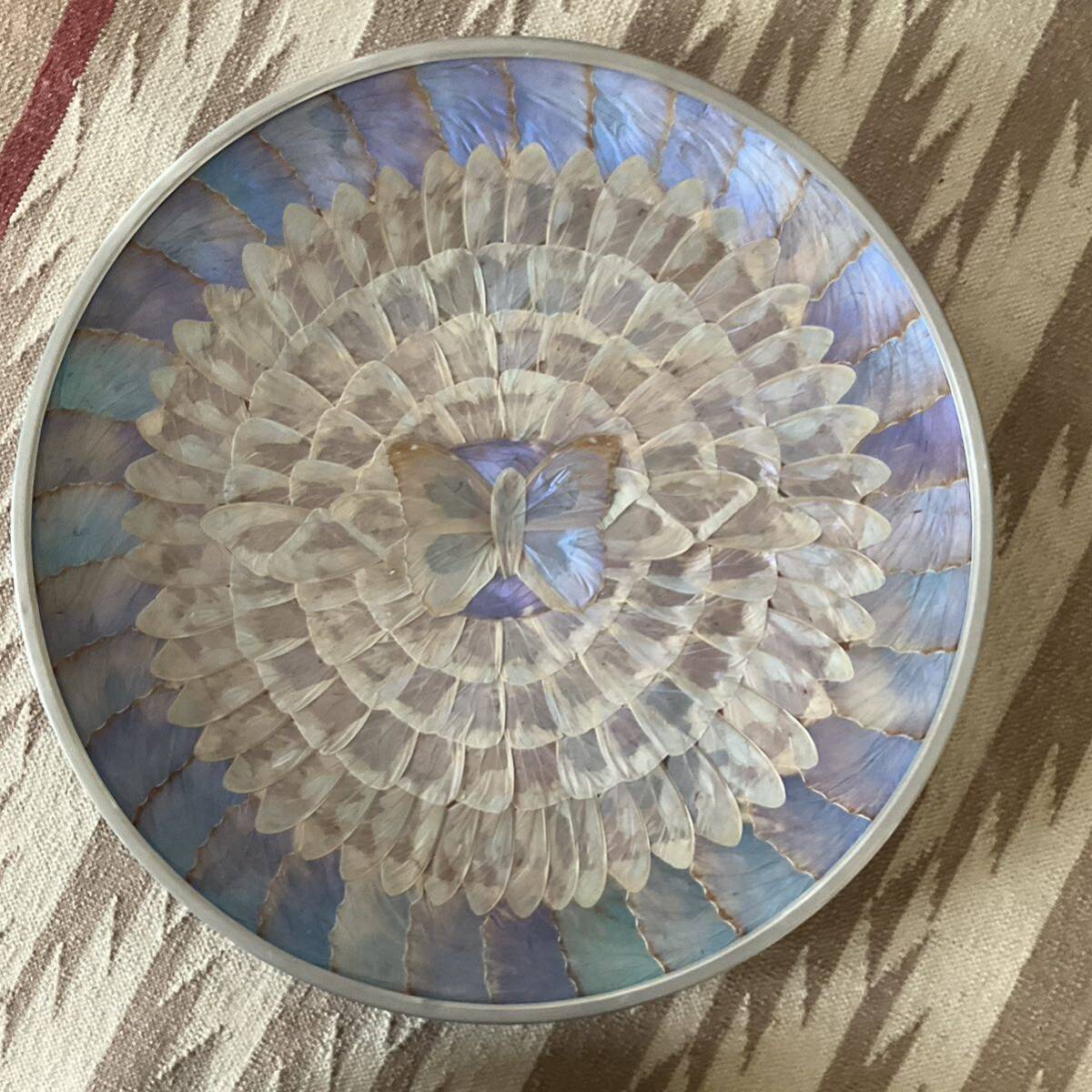 幸運の青い蝶 モルフォ蝶 標本飾り皿 38cmの画像2