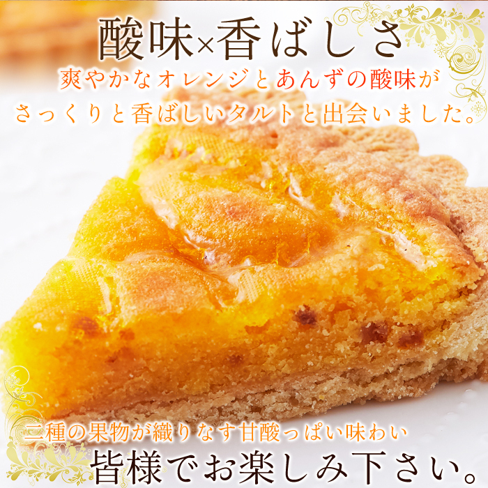 タルト ケーキ オレンジ あんず 5号 タルト生地 保存料不使用 常温 スイーツ 洋生菓子 洋菓子 〔ネコポス出荷〕_画像3