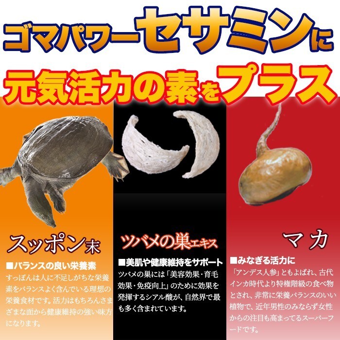 黒セサミン＋スタミナサプリ サプリ 黒ゴマ 国内製造 サプリメント 送料無料 大量 約4ヵ月分 〔120日分×1袋〕〔メール便出荷〕_画像4