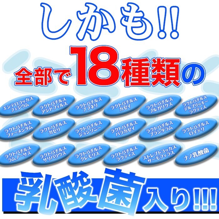 乳酸菌 ビフィズス菌 食物繊維 オリゴ糖 サプリ 国内製造 ダイエット サプリメント 約4ヵ月分 〔120日分×1袋〕〔メール便出荷〕_画像5