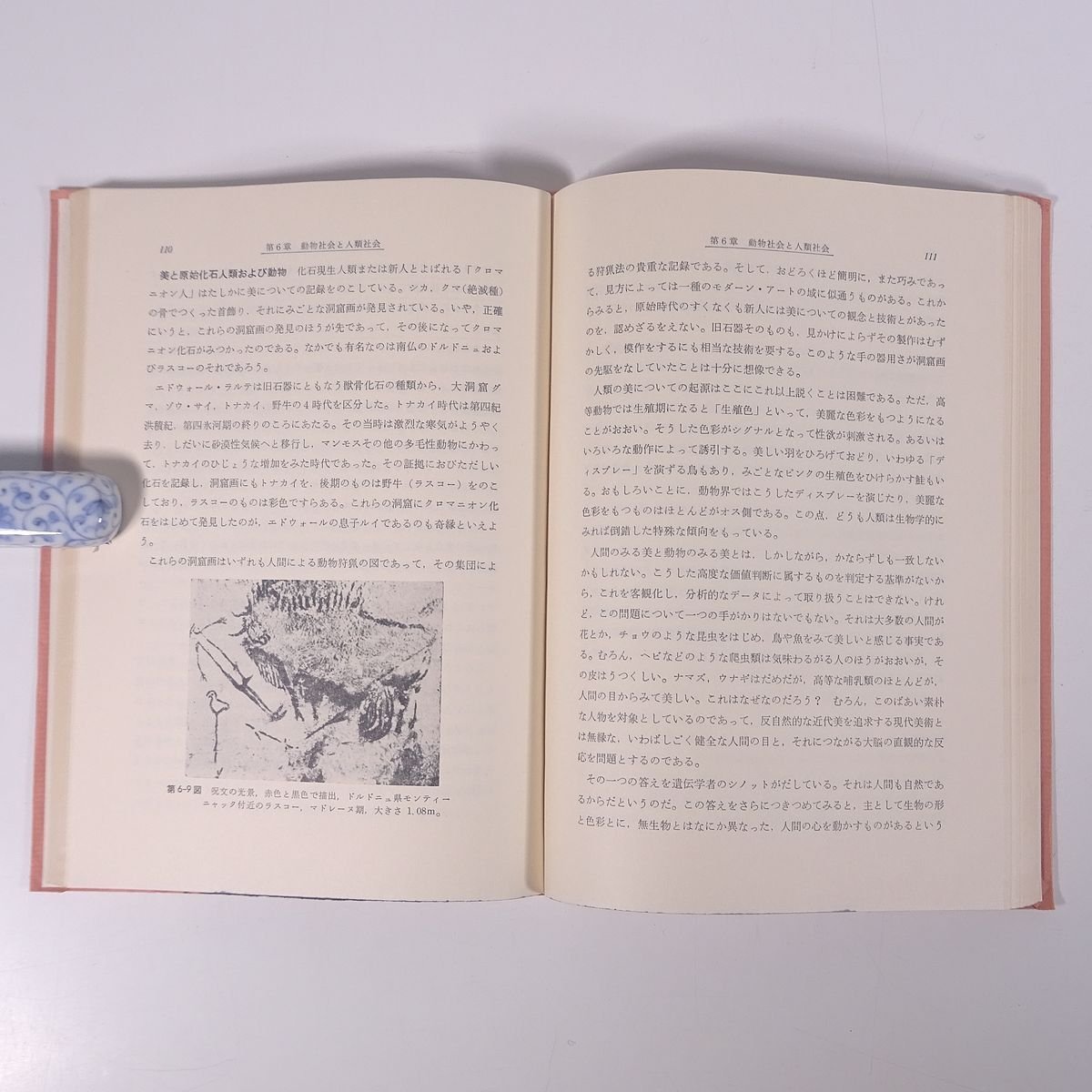 生物学を軸とした自然科学概論 飯島衛 廣文堂書店 1971 単行本 生物学_画像9