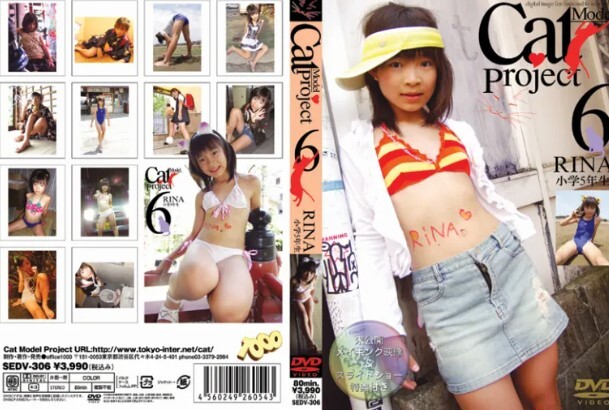 Cat Model project　１２SET　　　貴重プレミアムBOX_画像1