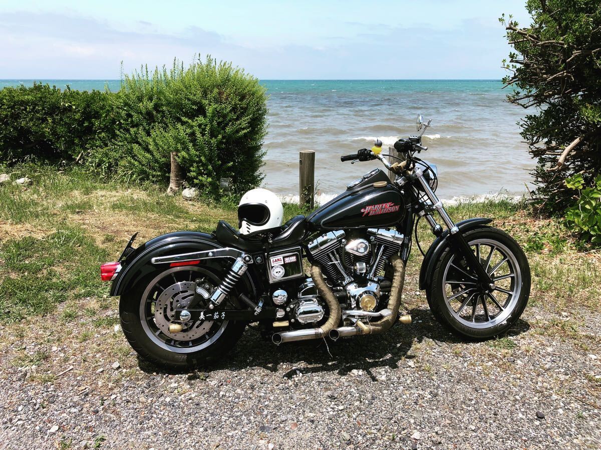  Harley Davidson 2005 FXDLi