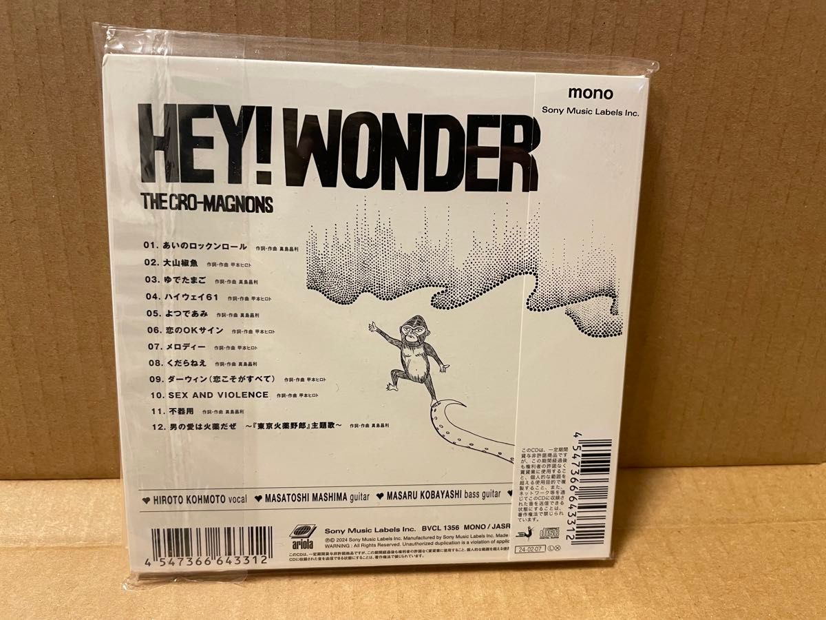 美品 ザ・クロマニヨンズ  HEY! WONDER CD　紙ジャケット仕様 ハイロウズ ブルーハーツ