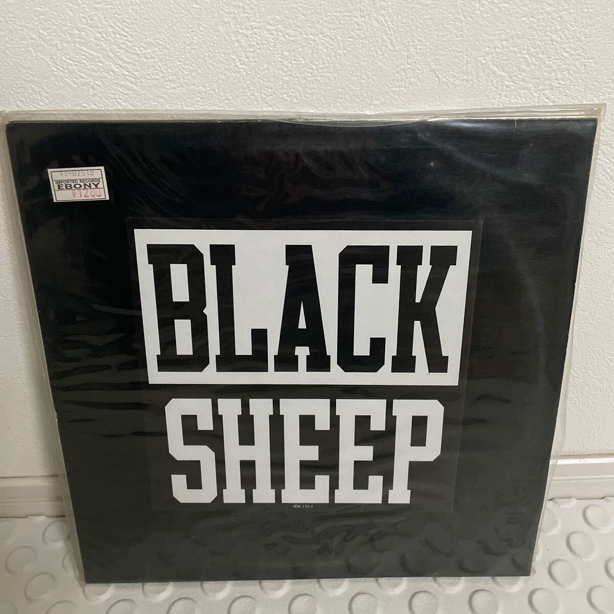 Black Sheep Without A Doubt_画像1