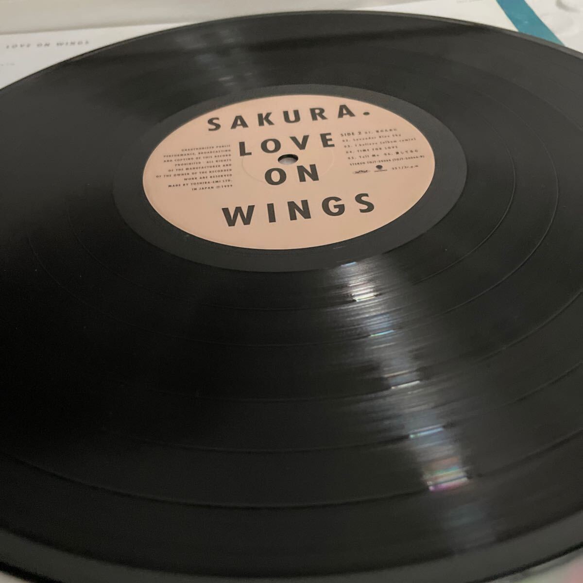 Sakura Love On Wings 名曲_画像7