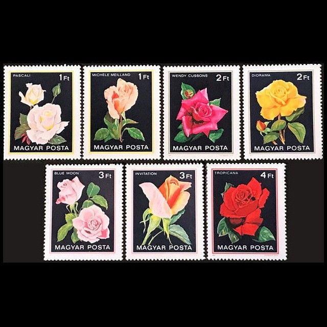 k5148 薔薇の花 ハンガリー 1982年 外国切手7種 未使用【花切手 古切手